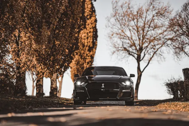 HippoZino Kazino Android/iOS Lietotne